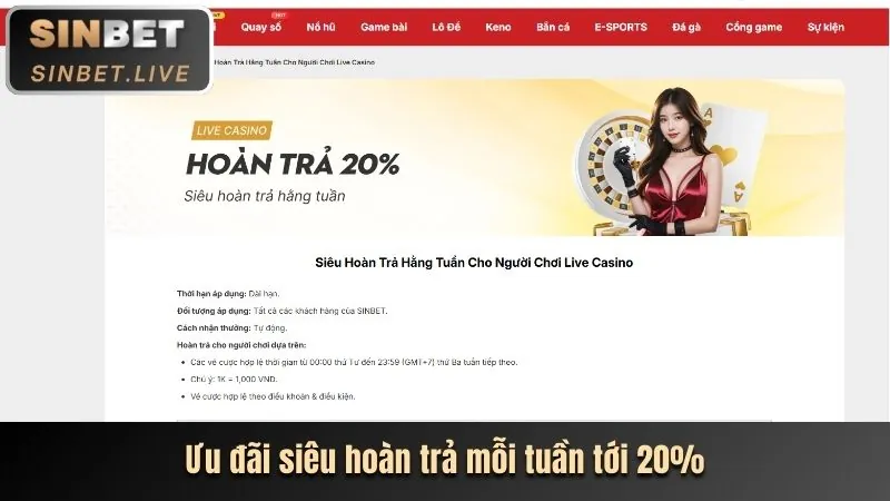 Các lợi ích độc quyền dành cho thành viên VIP